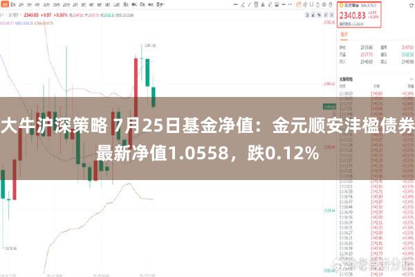 大牛沪深策略 7月25日基金净值：金元顺安沣楹债券最新净值1.0558，跌0.12%