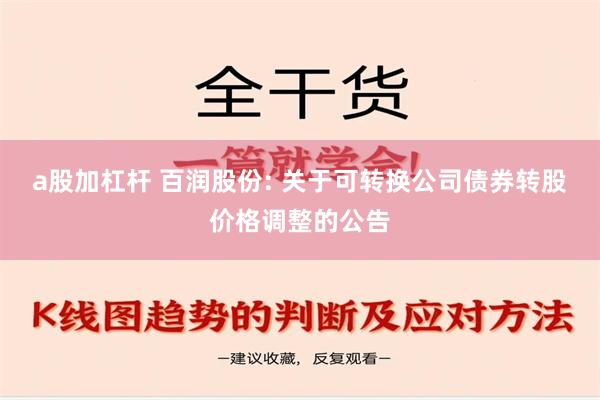 a股加杠杆 百润股份: 关于可转换公司债券转股价格调整的公告