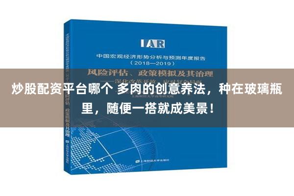 炒股配资平台哪个 多肉的创意养法，种在玻璃瓶里，随便一搭就成美景！