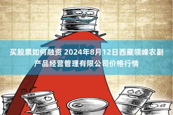 买股票如何融资 2024年8月12日西藏领峰农副产品经营管理有限公司价格行情