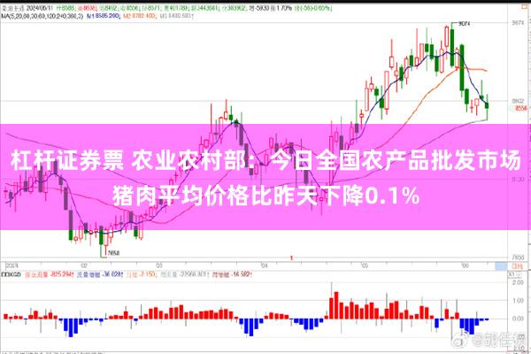 杠杆证券票 农业农村部：今日全国农产品批发市场猪肉平均价格比昨天下降0.1%