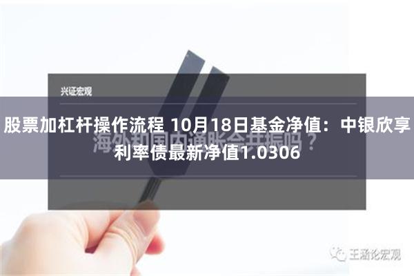 股票加杠杆操作流程 10月18日基金净值：中银欣享利率债最新净值1.0306