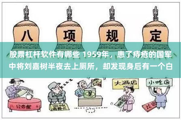 股票杠杆软件有哪些 1959年，患了痔疮的国军中将刘嘉树半夜去上厕所，却发现身后有一个白