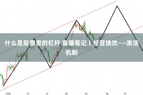 什么是股票里的杠杆 直播笔记丨经营绩效——激活机制